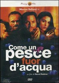 Come un pesce fuor d'acqua di Hervé Hadmar - DVD