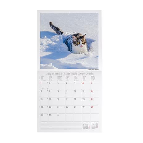 Calendario 2024, da parete, 30 x 29 cm CATS - 2