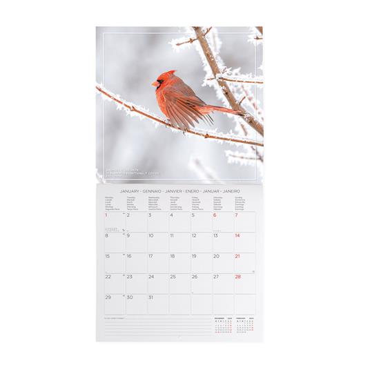 Calendario 2024, da parete, 30 x 29 cm 4 SEASONS - 2