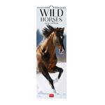 Calendario 2024, da parete, 16 x 49 cm WILD HORSES