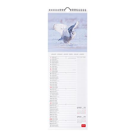 Calendario 2024, da parete, 16 x 49 cm OUTSTANDING OWLS - 2