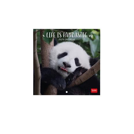 Calendario 2024, da parete, 18 x 18 cm LIFE IS PANDASTIC