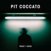 What I Need - CD Audio di Pit Coccato