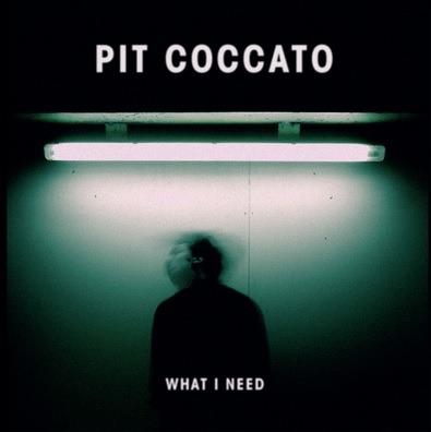 What I Need - CD Audio di Pit Coccato