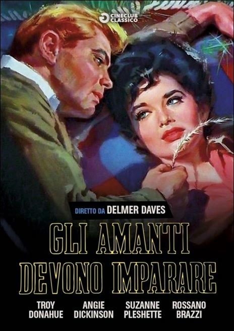 Gli amanti devono imparare di Delmer Daves - DVD