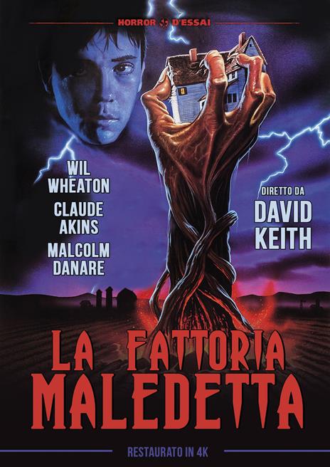 La fattoria maledetta. Restaurato in 4K (DVD) di David Keith - DVD