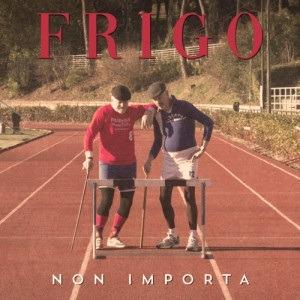 Non importa - CD Audio di Frigo