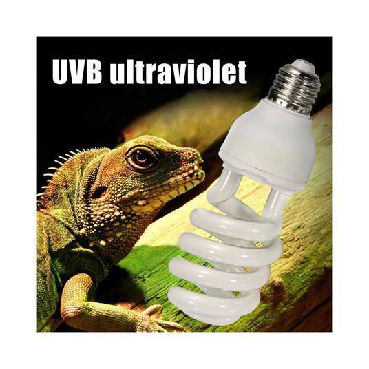 Lampada Fluorescente Uvb 10.0 Luce Solare Rettili Habitat Estremamente  Luminoso - TrAdE Shop Traesio - Idee regalo | IBS
