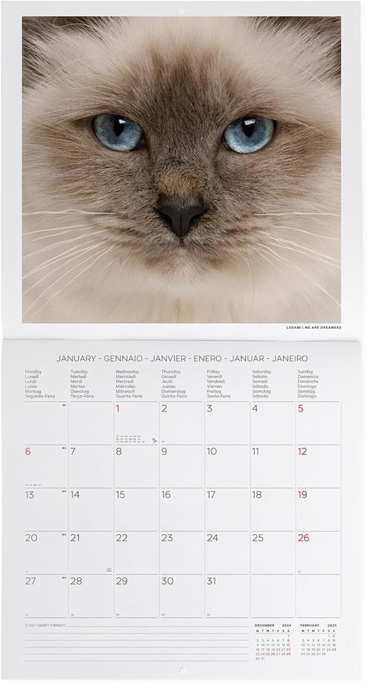 Calendario da Muro 2025 Legami - Cats - 30 x 29 - 2