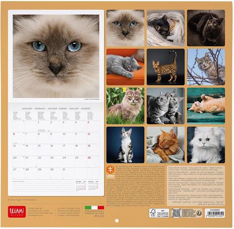 Calendario da Muro 2025 Legami - Cats - 30 x 29 - 3