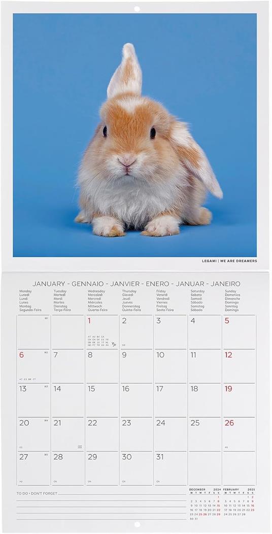 Calendario da Muro 2025 Legami - Honey Bunny - 18 x 18 - 2