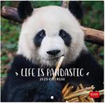 Calendario da Muro 2025 Legami - Life Is Pantastic - 18 x 18