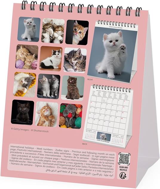 Calendario da Tavolo 2025 Legami - Kittens - 12 x 14,5 - 4