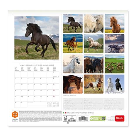 Calendario Legami 2023, Horses - 30 x 29 cm