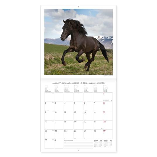 Calendario Legami 2023, Horses - 30 x 29 cm - 2