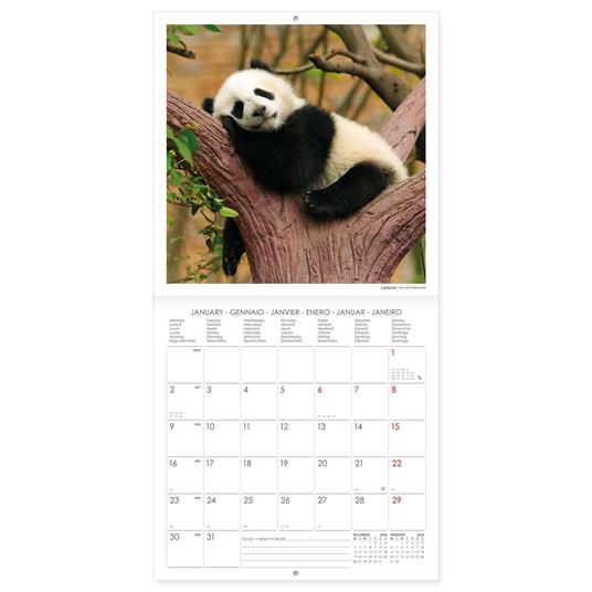 Calendario Legami 2023, Lovely Pandas - 18 x 18 cm - Legami - Cartoleria e  scuola | IBS