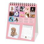 Calendario Legami 2023, Puppies - 12 x 14,5 cm