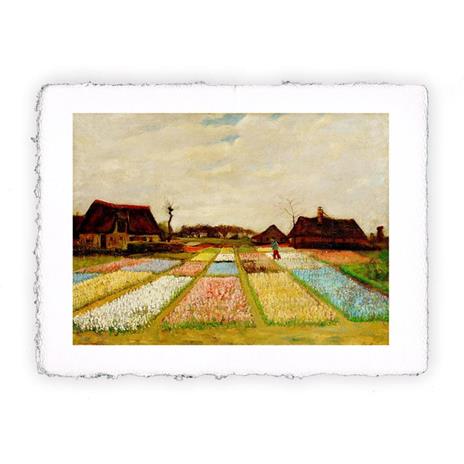 Stampa Pitteikon di Vincent van Gogh Campi di tulipani, Miniartprint - cm 17x11