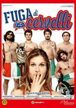 Fuga di cervelli (DVD)