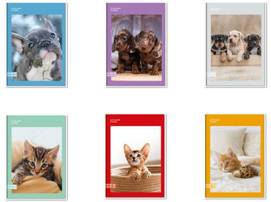 Quaderno A4 Maxi 96/100 Colour Code Animal Snapshot, 4 M - Quadretti piccoli 4 mm - 21 x 30 cm