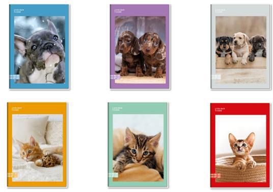 Quaderno A4 Maxi 96/100 Colour Code Animal Snapshot, 1 Rigo - 21 x 30 cm