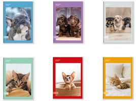Cartoleria Quaderno A5 standard 96/100 Colour Code Animal Snapshot, 1 Rigo - 15 x 21 cm Colour Code