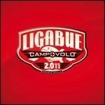 Campovolo 2.011 - Vinile LP di Ligabue