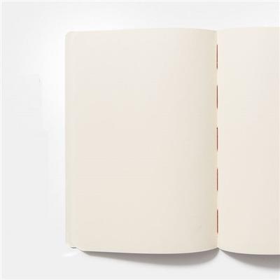 quaderno-agenda-2020-2021-ARTISTANTE–pagine-bianche