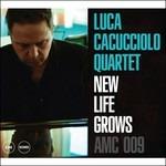 New Life Grows - CD Audio di Luca Cacucciolo