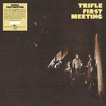 First Meeting (Gatefold)