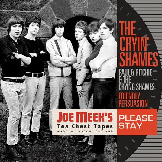 Please Stay - Vinile LP di Cryin Shames