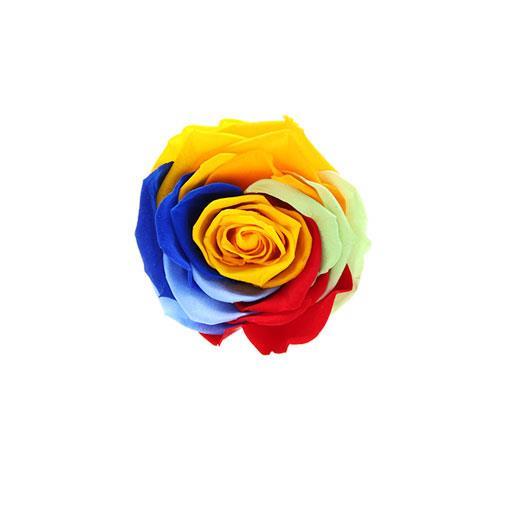 Flowercube Rosa Stabilizzata Profumata 8x8 Rainbow - Flowercube - Idee  regalo