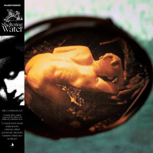 Sheltering Water - Vinile LP di Palazzi D'Oriente