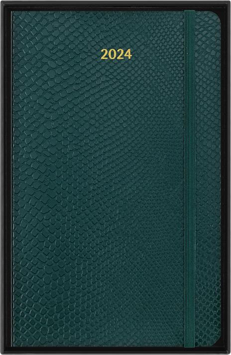 Agenda Moleskine Precious & Ethical settimanale 2024, 12 mesi, Large, copertina morbida, con scatola, Verde - 13 x 21 cm - 7