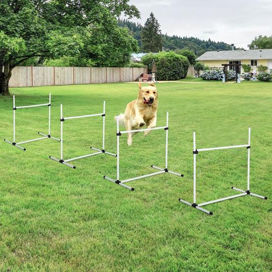 PawHut Set 4 Ostacoli Agility Dog per Addestramento Cani con Sacca di  Trasporto - PawHut - Idee regalo | IBS