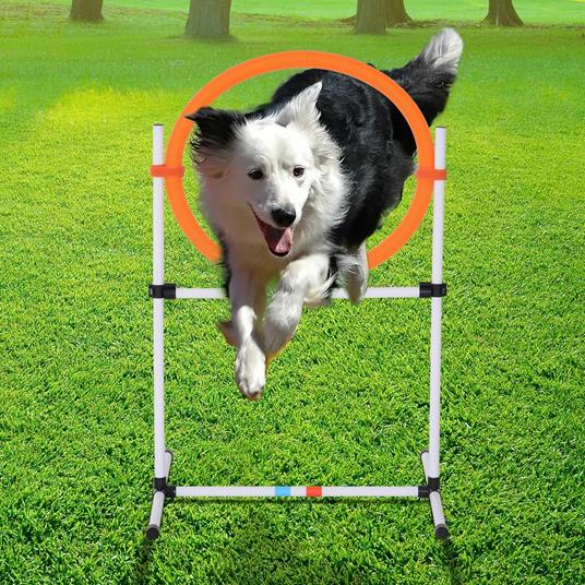 PawHut Set Agility Dog Portatile con Anello e Sbarra, Multiuso e  Salvaspazio, con Borsa da Trasporto Inclusa, 74.5x66x91cm, Bianco e  Arancione - Pawhut - Idee regalo | IBS