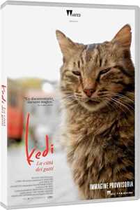 Film Kedi. La città dei gatti (DVD) Ceyda Torun