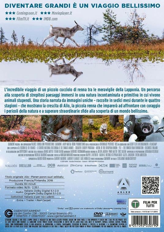 Ailo. Un'avventura tra i ghiacci (DVD) - DVD - Film di Guillaume  Maidatchevsky Documentario | IBS