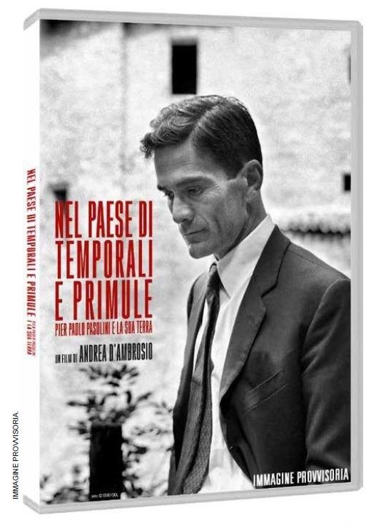 Nel paese di temporali e primule (DVD + libro) di Andrea D'Ambrosio - DVD