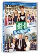 Come un gatto in tangenziale (DVD)