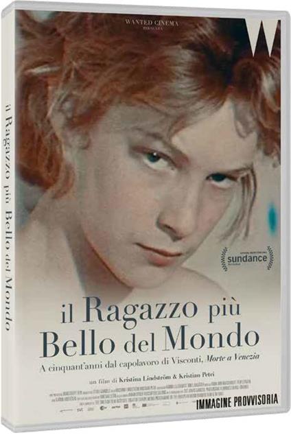 Il ragazzo più bello del mondo (DVD) di Kristian Lindström,Kristina Petri - DVD