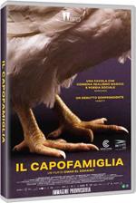 Il capofamiglia (DVD)