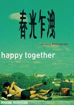 Happy Together (DVD)