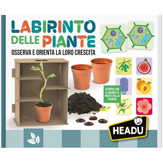 Labirinto delle Piante. Gioco di botanica - Headu - S.T.E.M. - Scientifici  - Giocattoli | IBS