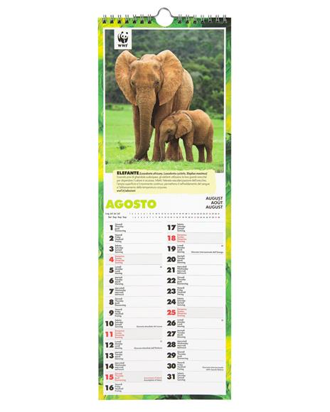 Calendario 2024 Wwf 15X43 Cm - 3