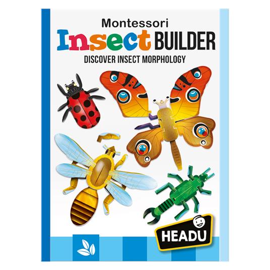 Insect Builder - 4