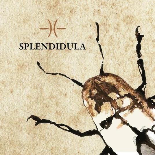 Splendidula - CD Audio di Splendidula