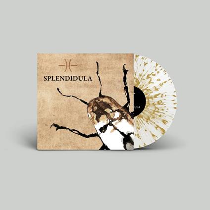 Splendidula (Colored 180 gr. Vinyl) - Vinile LP di Splendidula