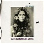 Like a Rose - CD Audio di Alice Tambourine Lovers