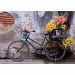 500 Bicicletta Con Fiori